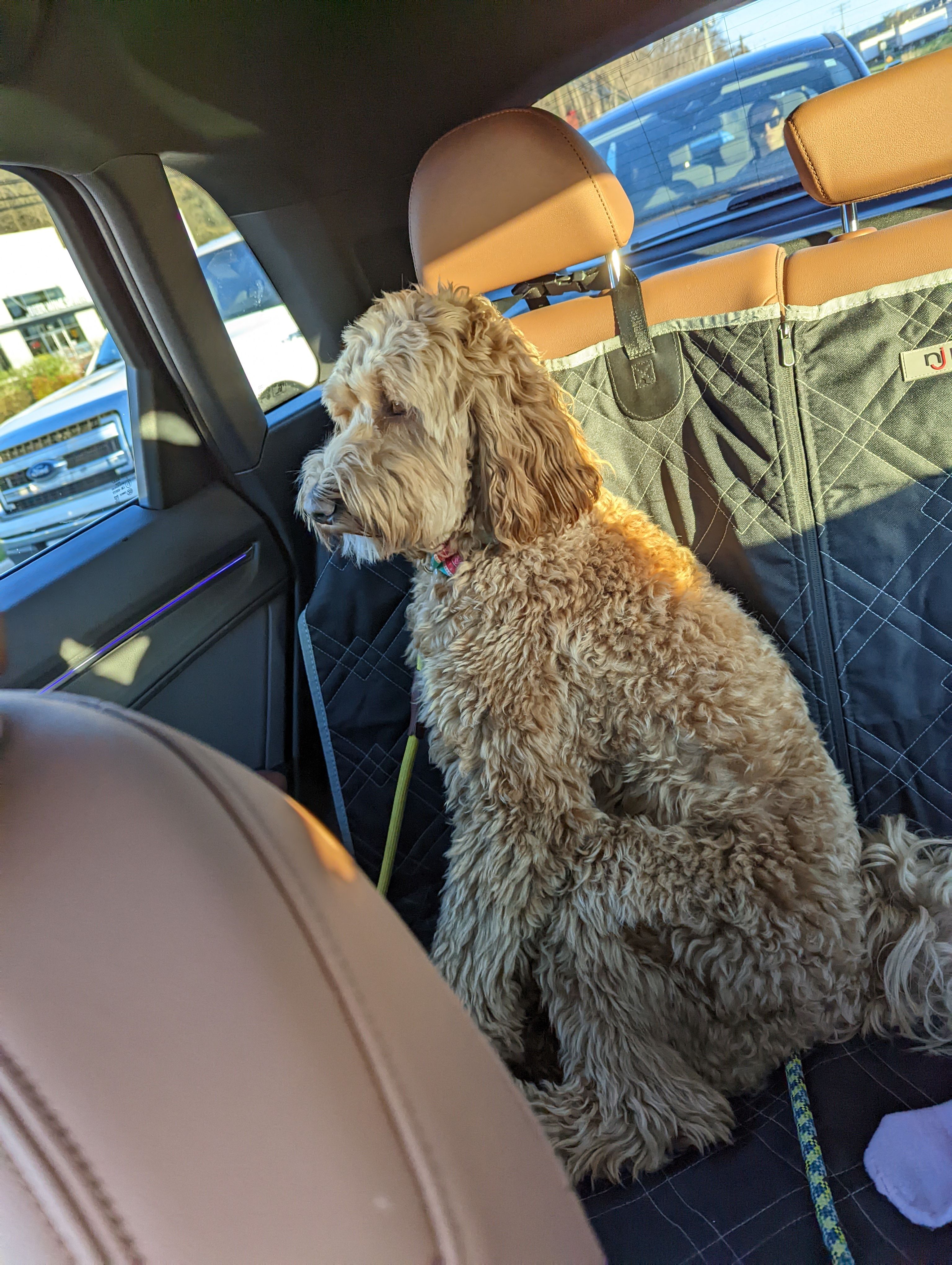 Providing Safe, Stress-Free Transitions for Every Pet.